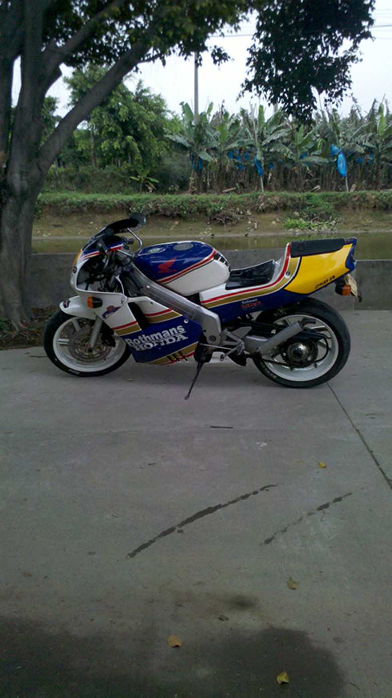 IMG_20130302_122637_副本.jpg