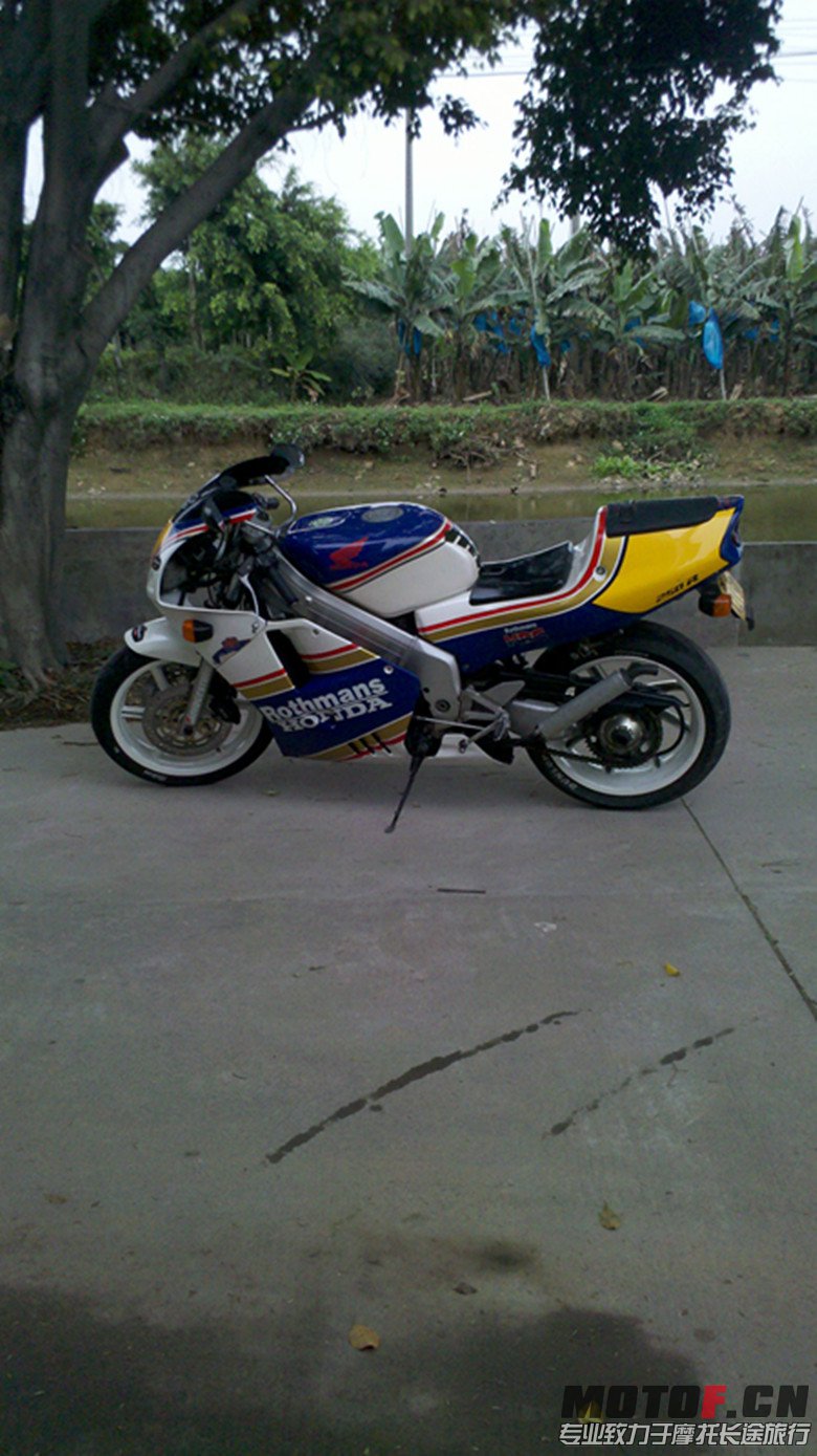 IMG_20130302_122637_副本.jpg