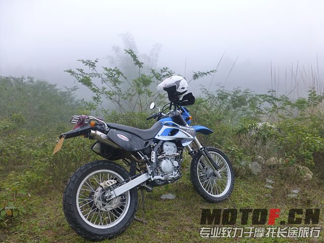 P1020544.jpg