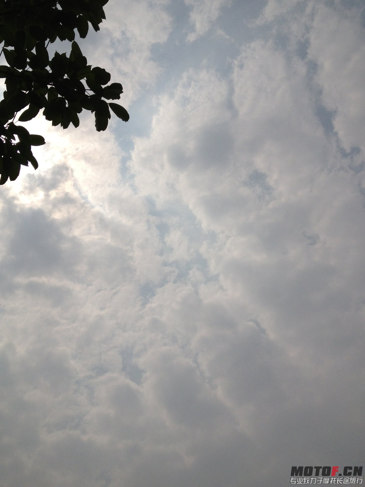 IMG_0728.jpg