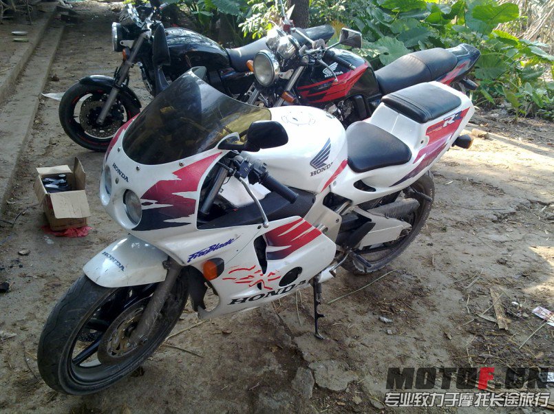 123335miom91t61g3229t9.jpg