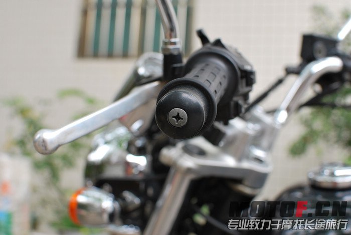 nEO_IMG_DSC_0211.jpg