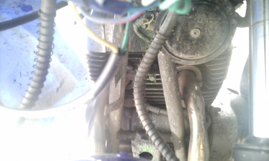 IMG_20130316_155456~1.jpg