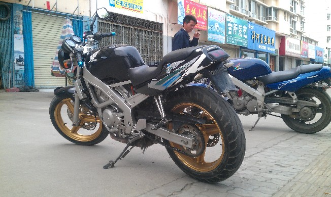 BigBull_IMAG1566.jpg