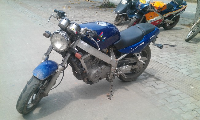 BigBull_IMAG1559.jpg