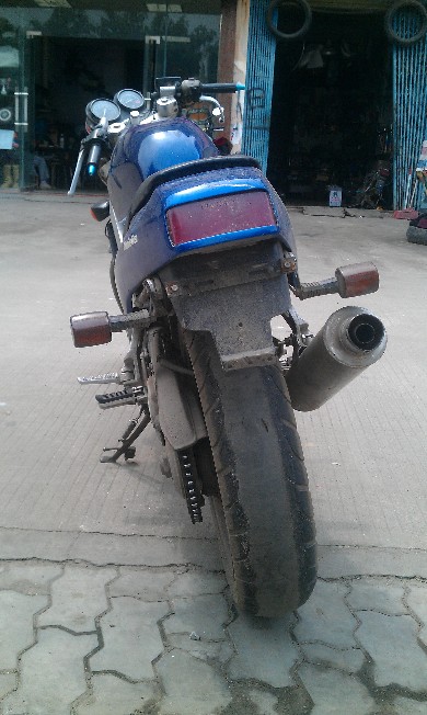 BigBull_IMAG1562.jpg