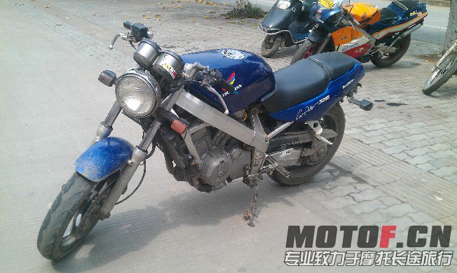 BigBull_IMAG1559.jpg