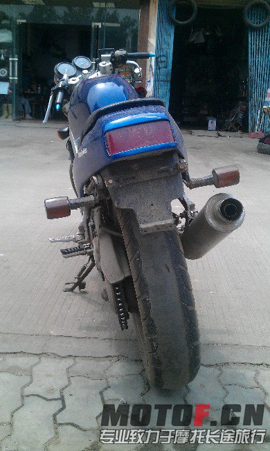 BigBull_IMAG1562.jpg