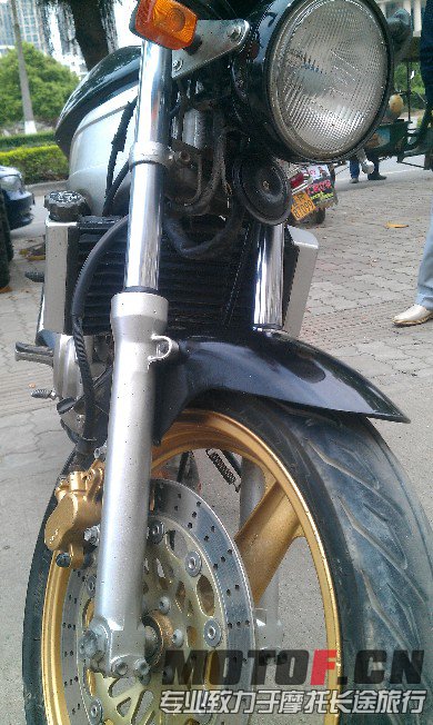 BigBull_IMAG1568.jpg
