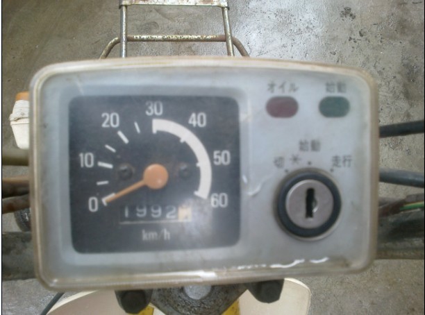 56544.jpg