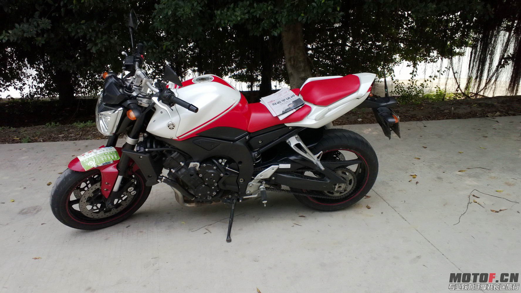 WP_20130323_001.jpg