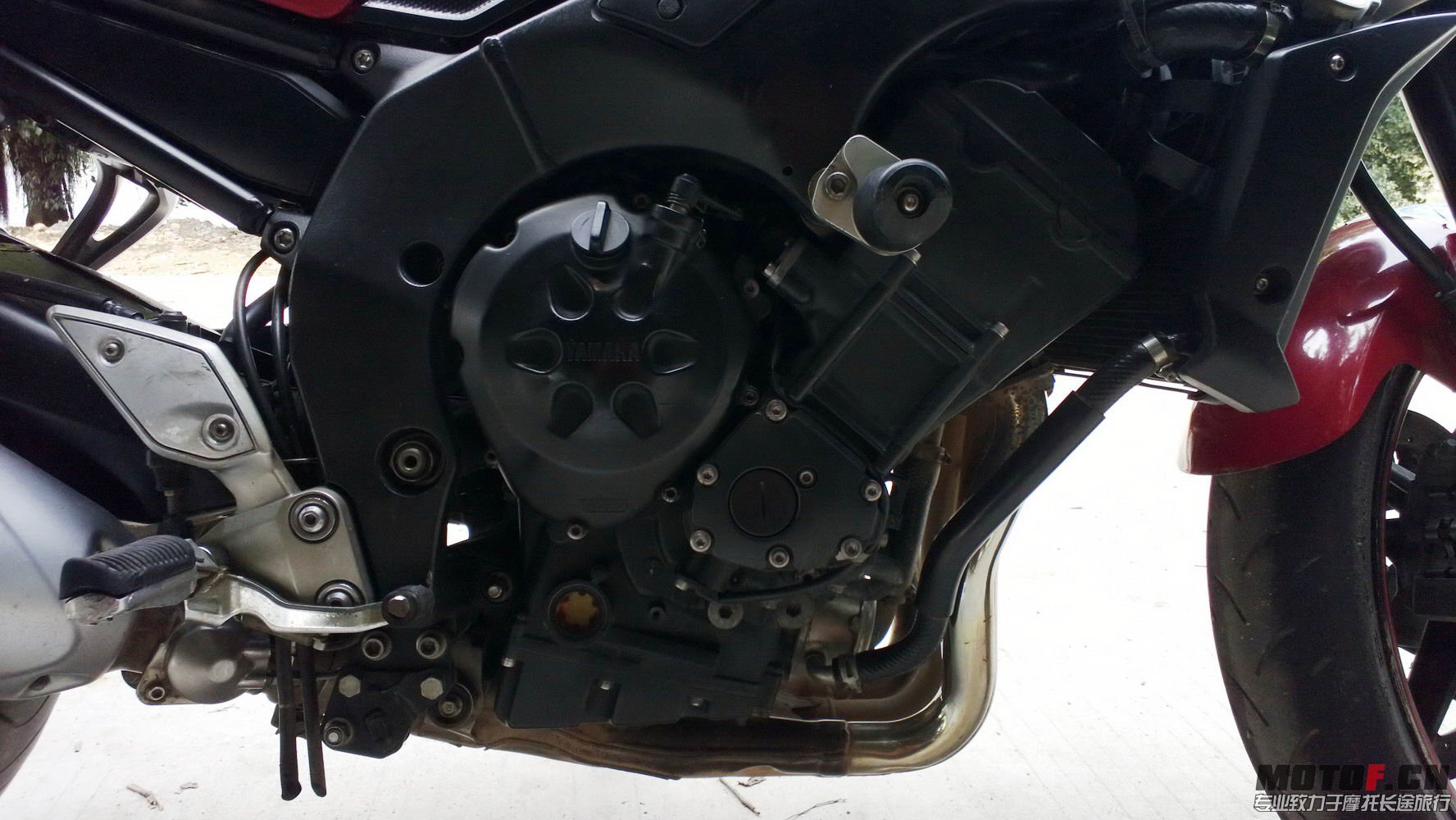 WP_20130323_014.jpg