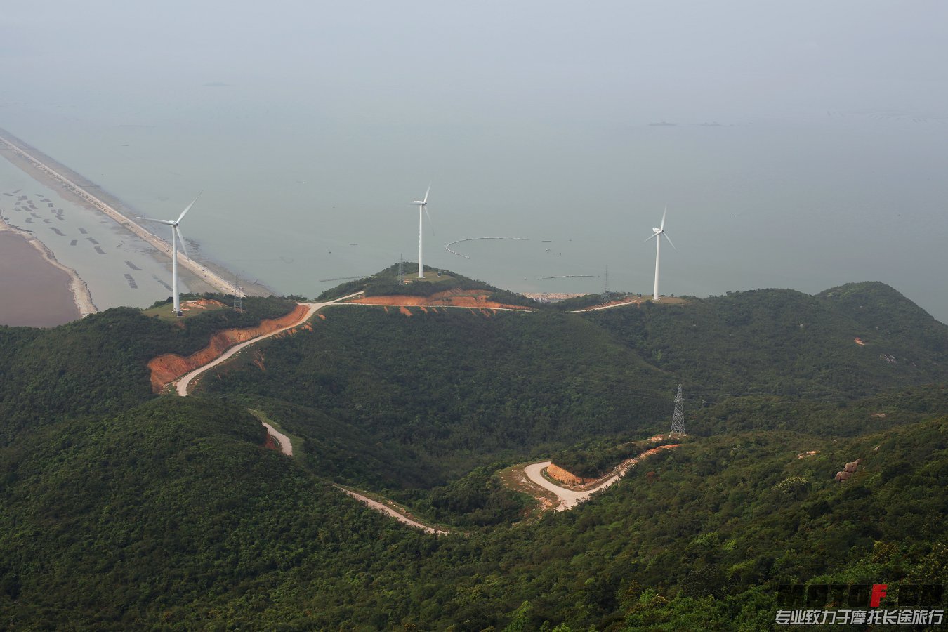 高欄港吹吹風40.jpg