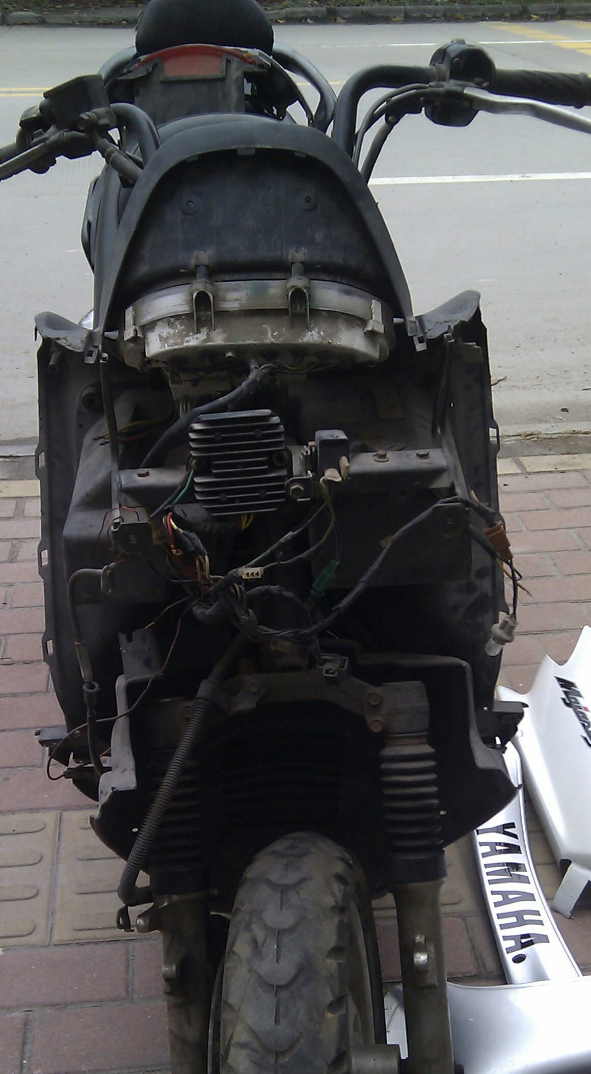 IMAG0560-1.jpg