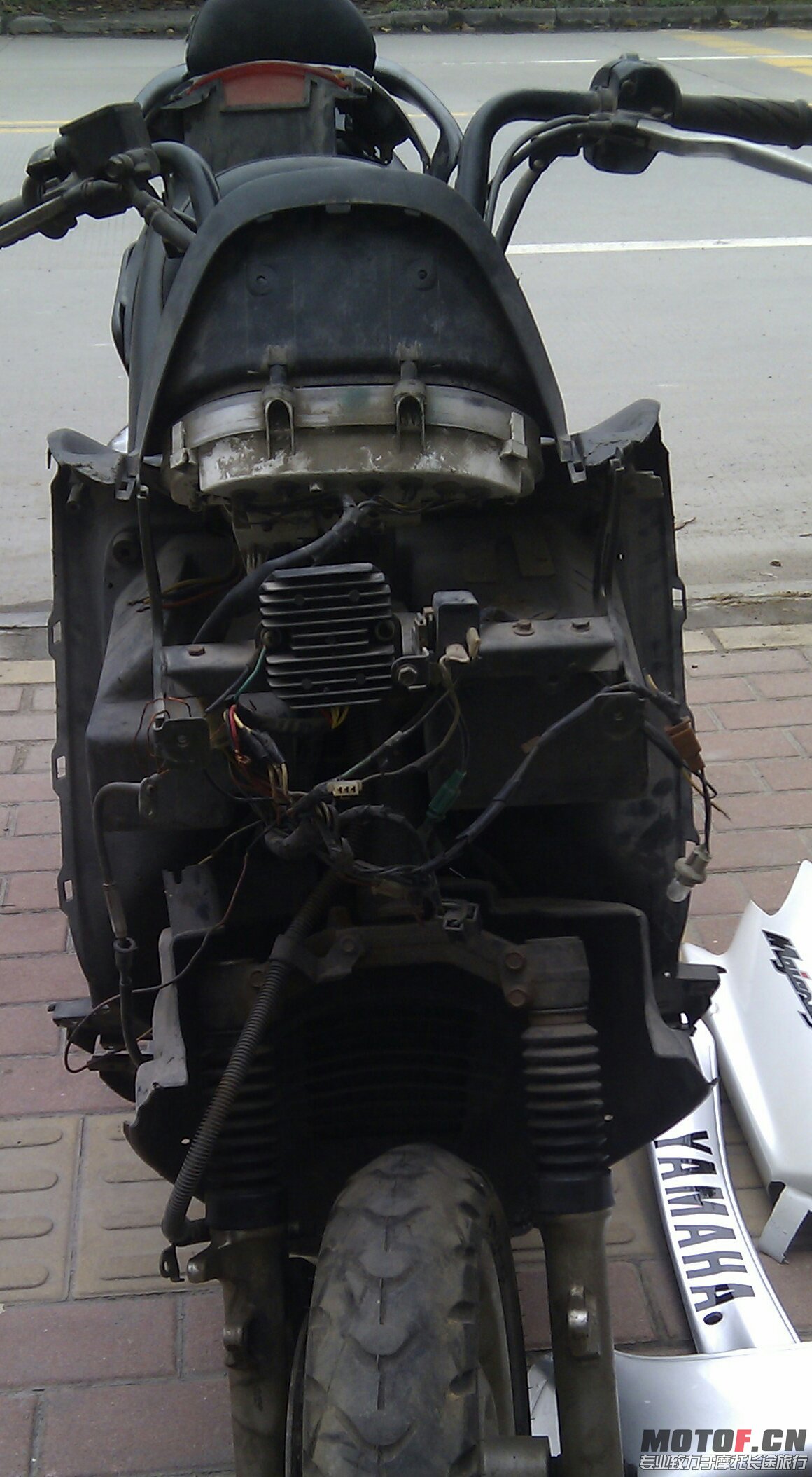 IMAG0560-1.jpg