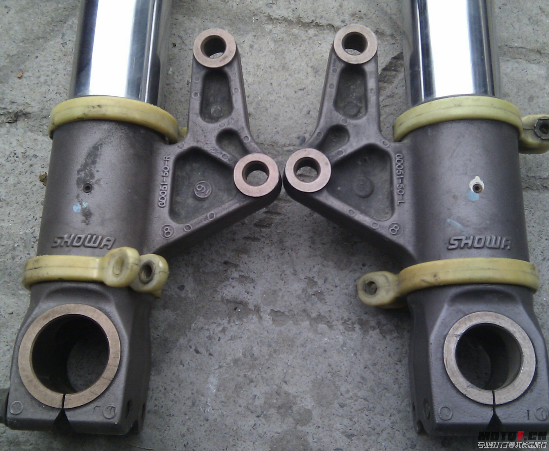 IMAG0578-1.jpg