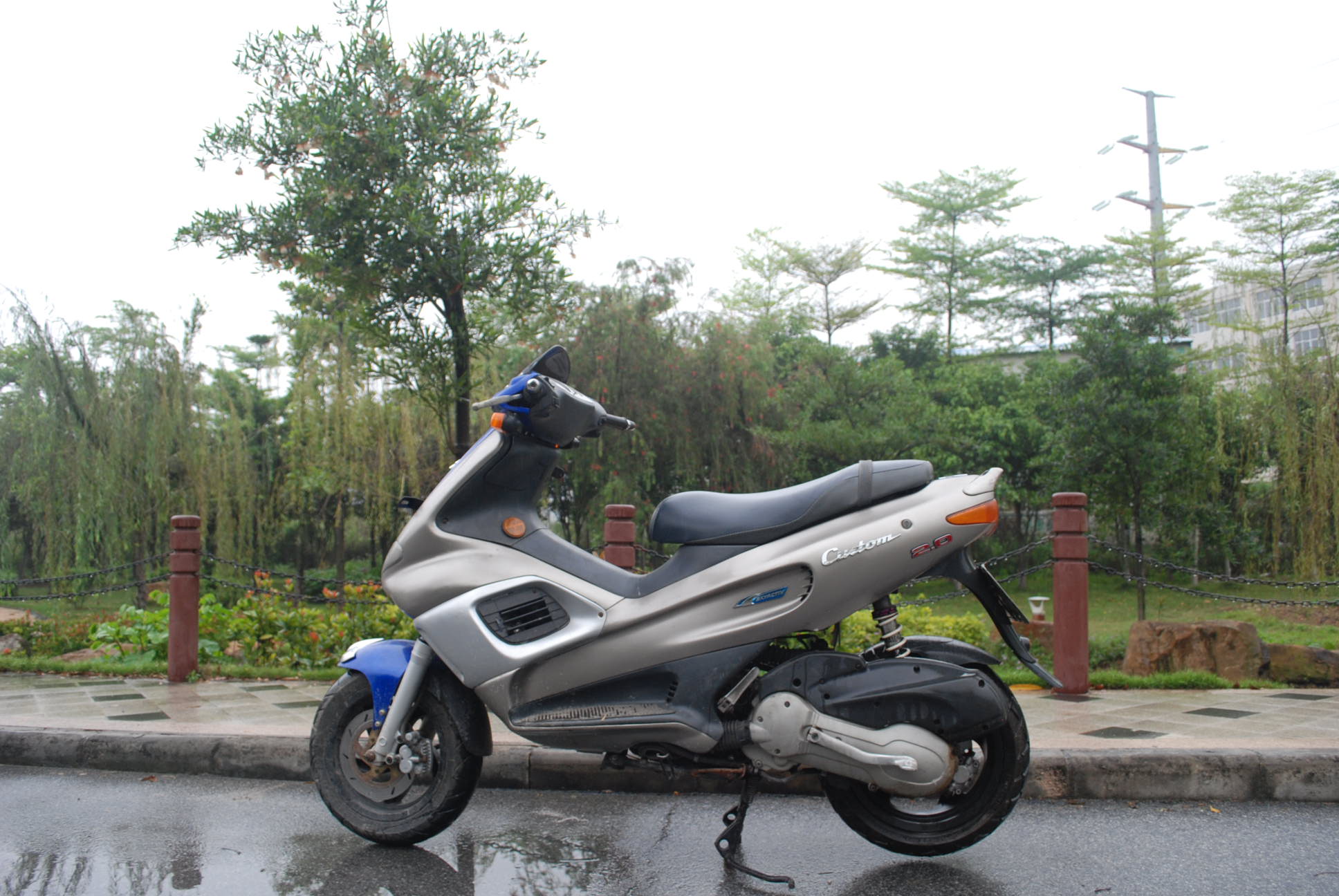 DSC_9356.jpg