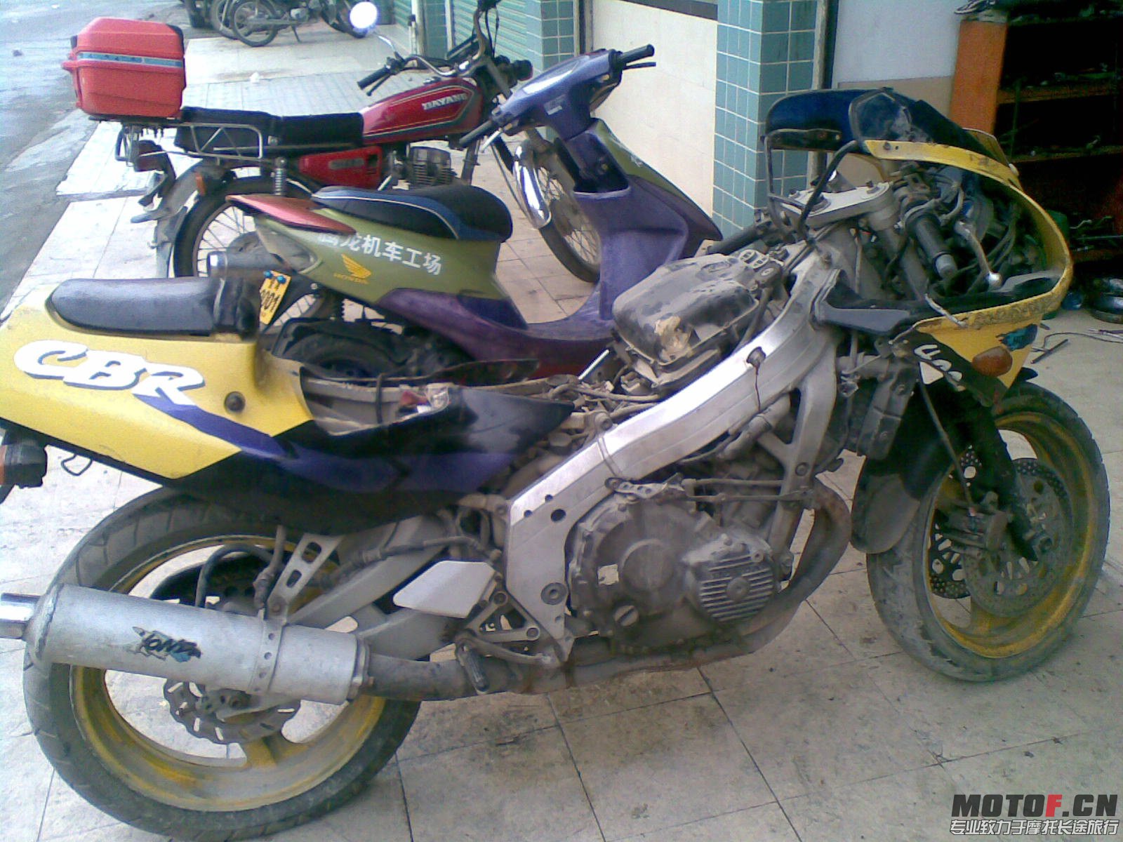 20130227(002).jpg