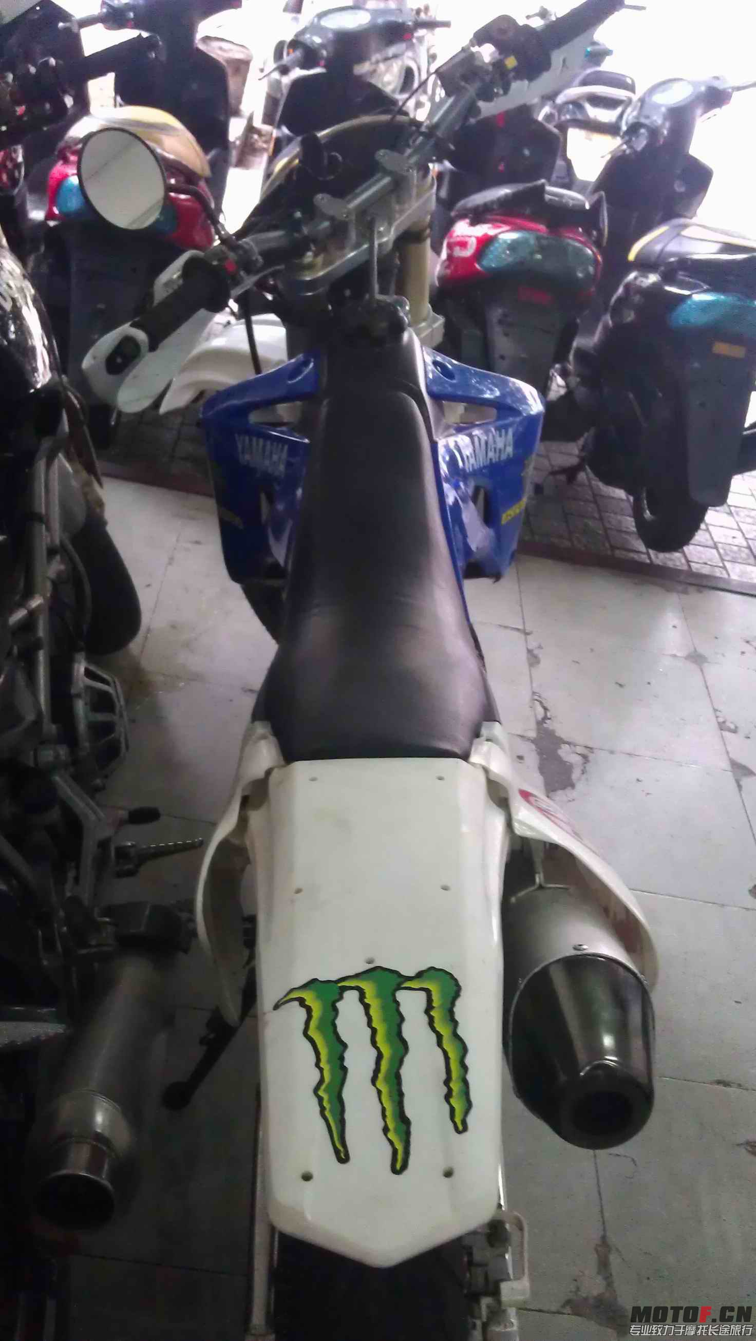 IMAG1059.jpg