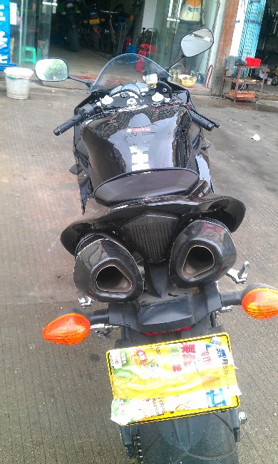 BigBull_IMAG1600.jpg