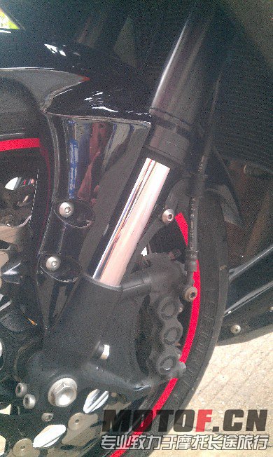 BigBull_IMAG1598.jpg