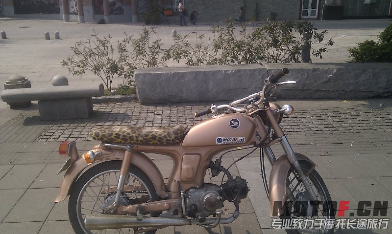 psbCAXYC9JL.jpg