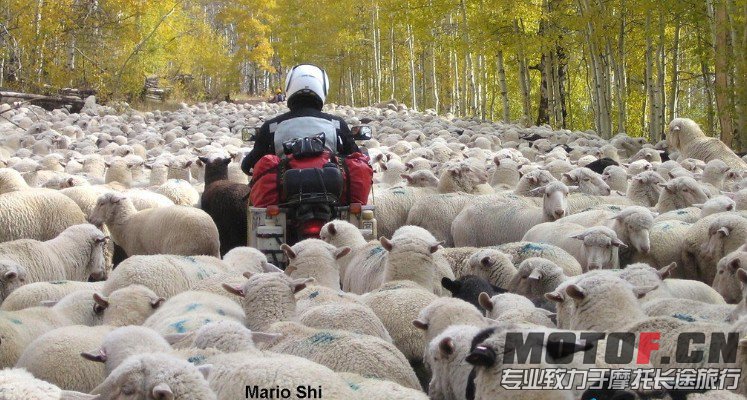 未命名3.jpg