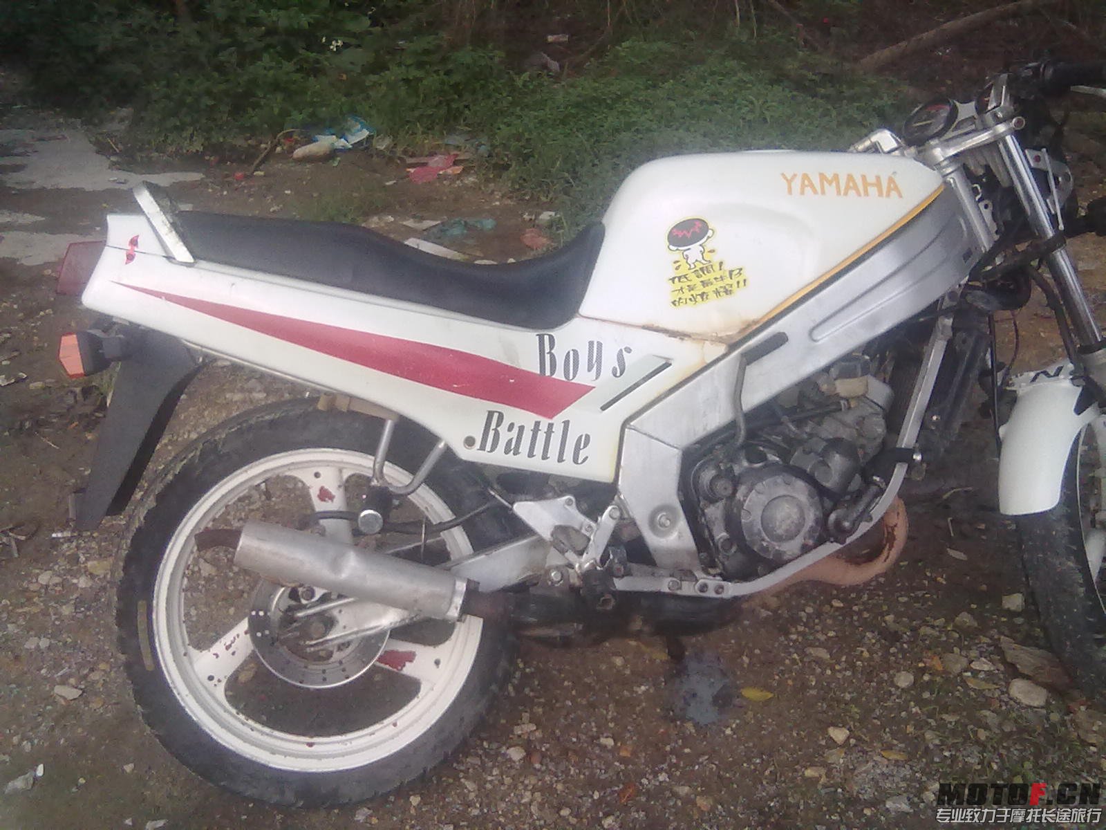 20130412073.jpg