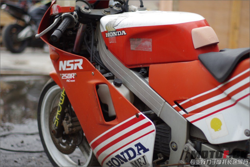 nsr3.jpg
