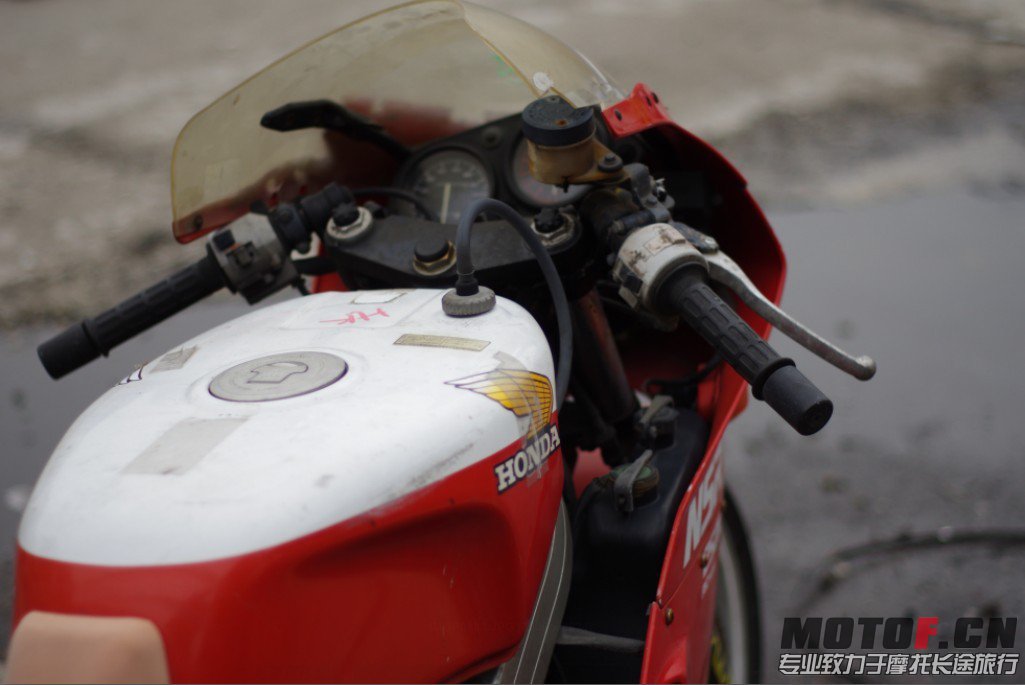 nsr6.jpg