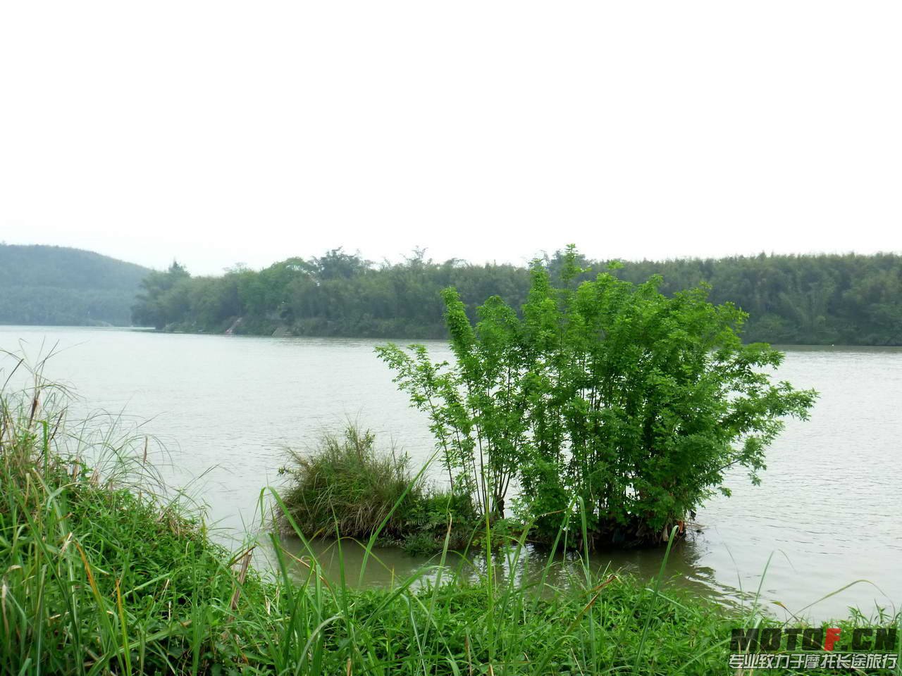 P1020920.jpg
