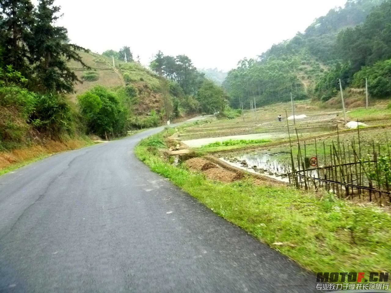 P1030042.jpg
