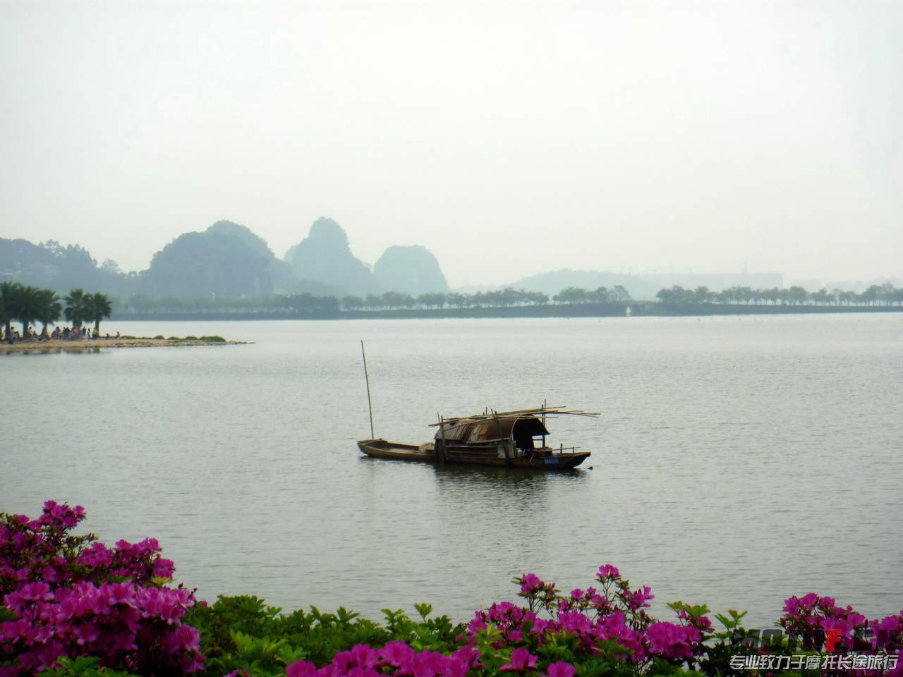 P1030107.jpg