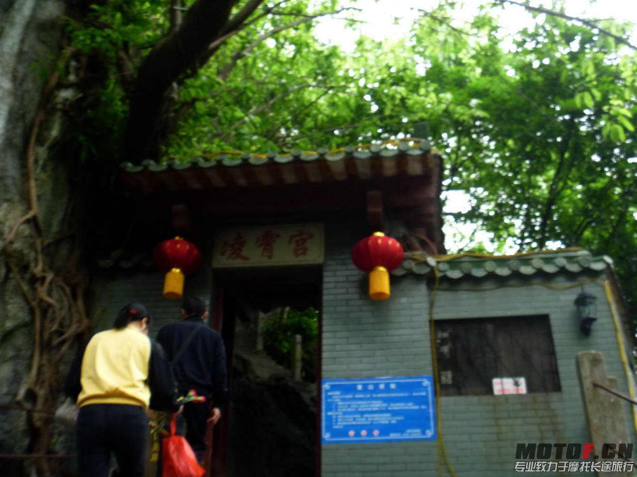 P1030140.jpg