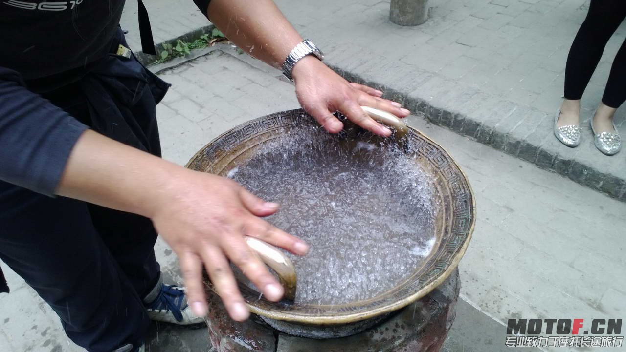 P1030231.jpg