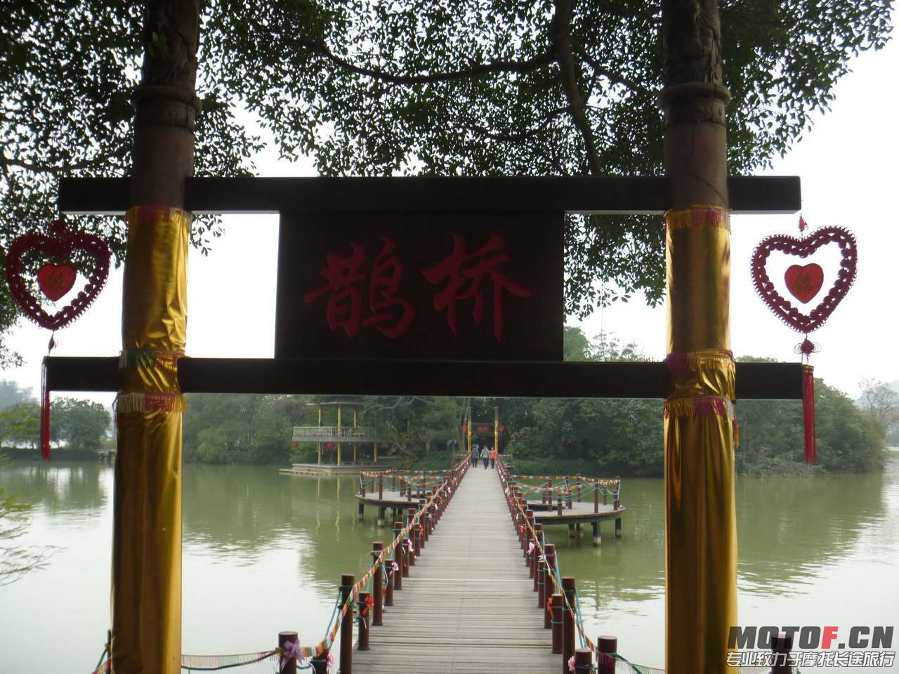 P1030239.jpg
