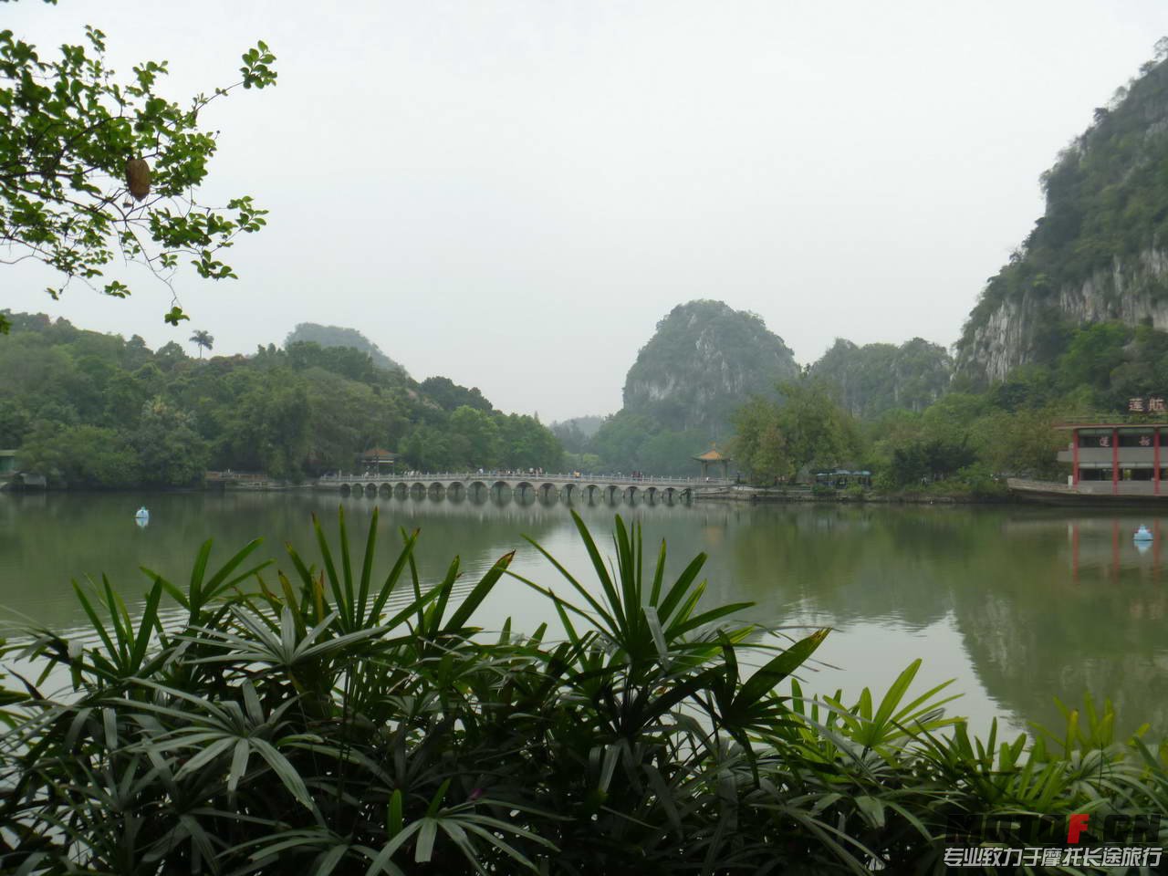 P1030297.jpg