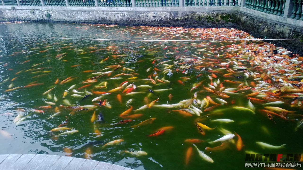 P1030420.jpg