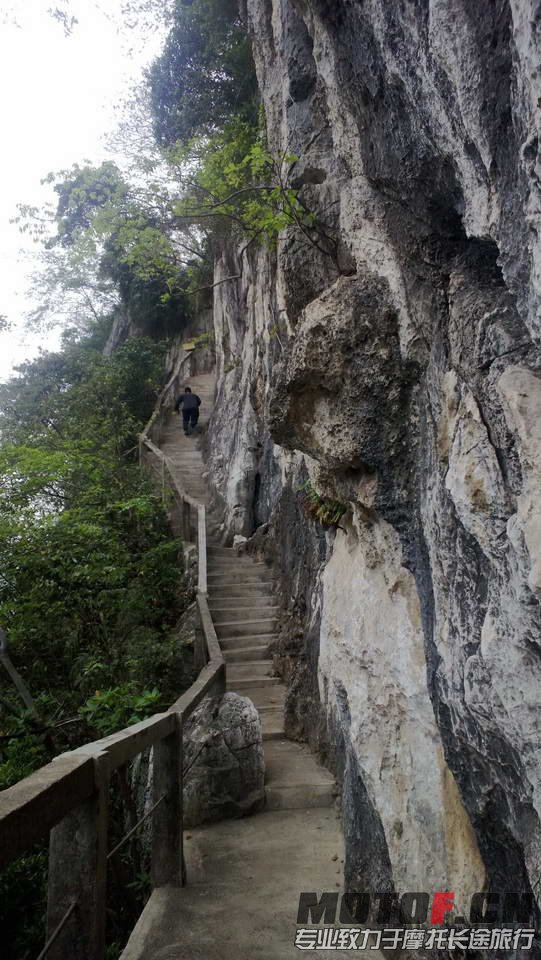 P1030459 (11).jpg