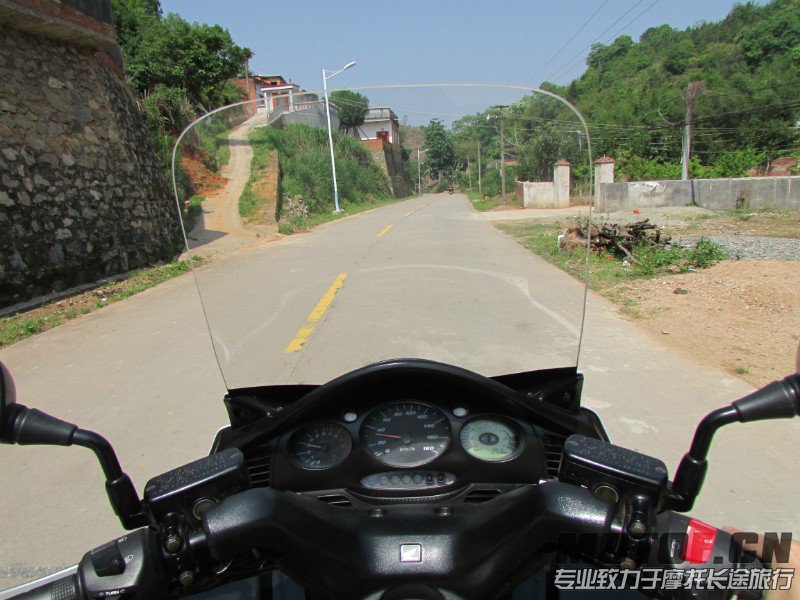 沿途，白鸽（银翼）