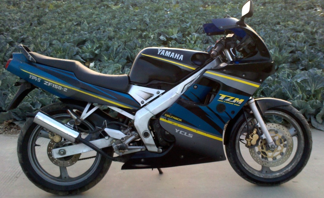201304tzm1.jpg