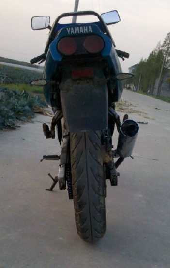 201304tzm3.jpg
