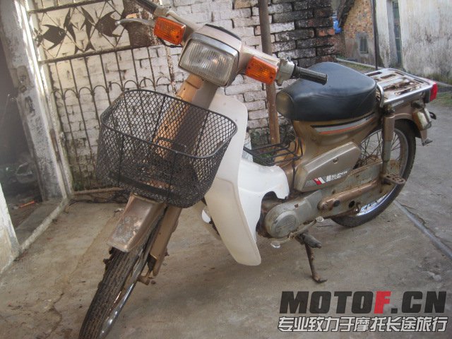 CUB50.jpg