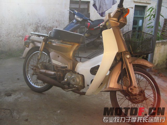 CUB50 2.jpg