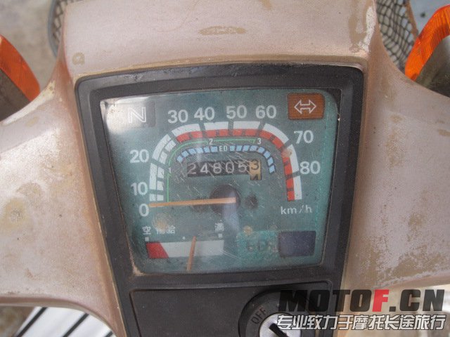 CUB50 7.jpg
