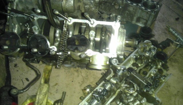IMAG0053.jpg