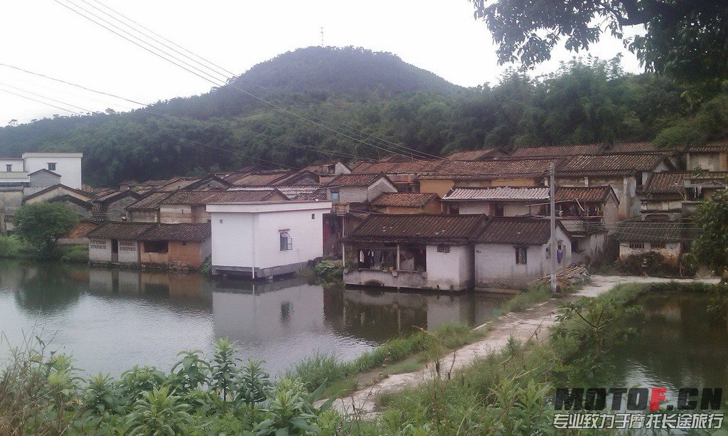 IMAG0031.jpg