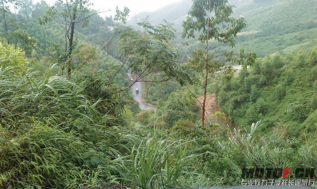 IMAG0043.jpg