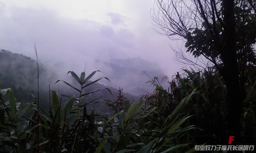 IMAG0065.jpg