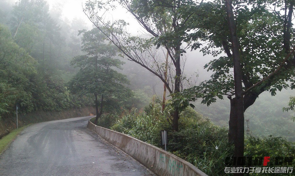 IMAG0067.jpg